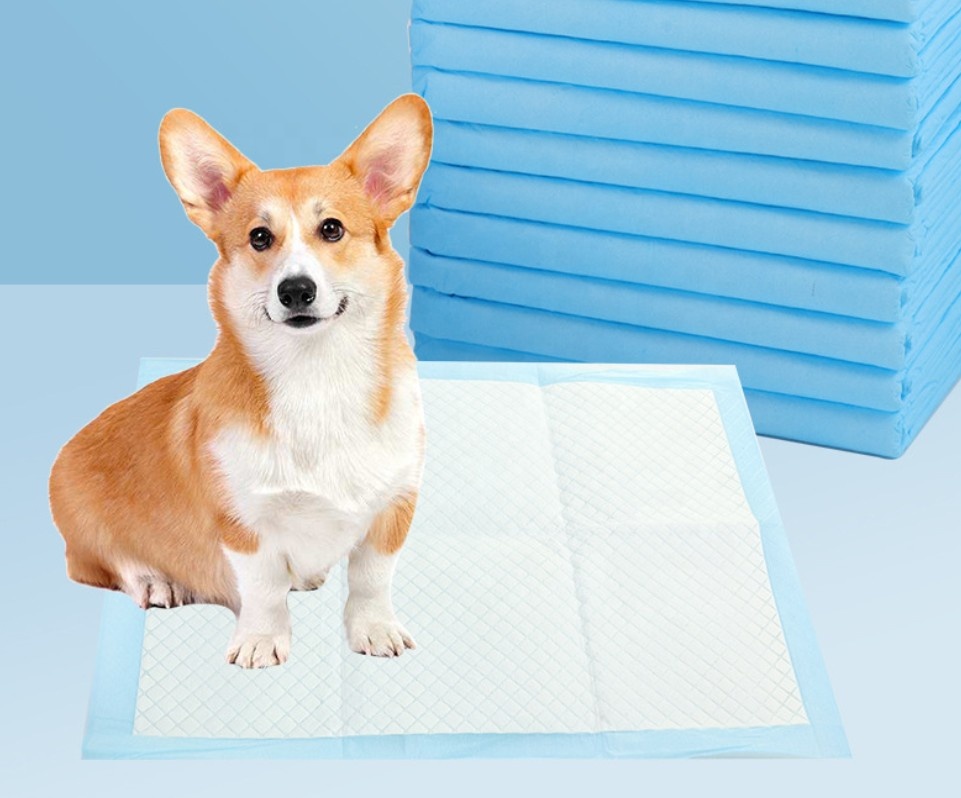 Disposable strong absorption pet diapers puppy pads dog training pads pet urine pad