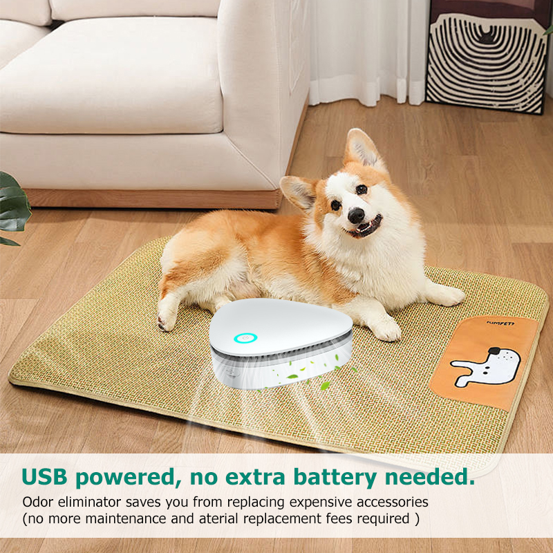 Hot Sale Multi-functional and Rechargeable Air Purifier for Pets Cat Smell Deodorant Stain Odor Eliminator for cat Cleaning