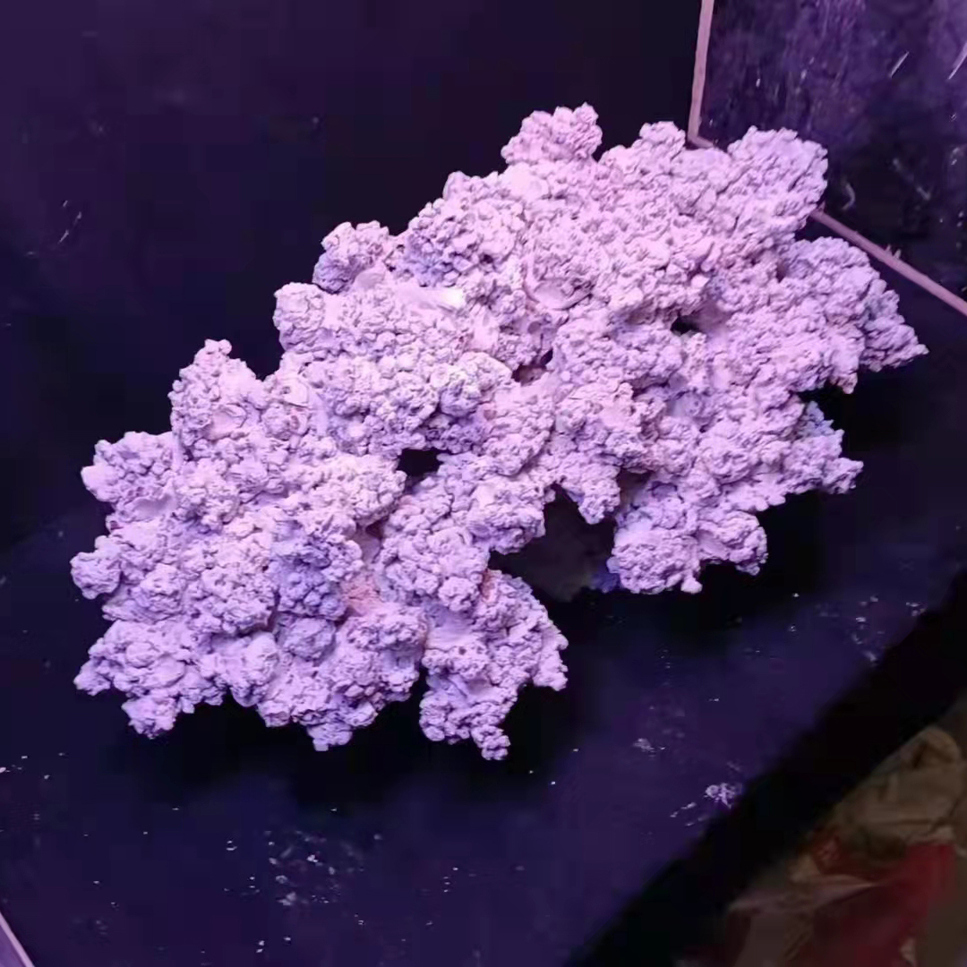 Custom Made Landscape Artificial Aquarium Reef Rock Stone for Saltwater Fish Tank