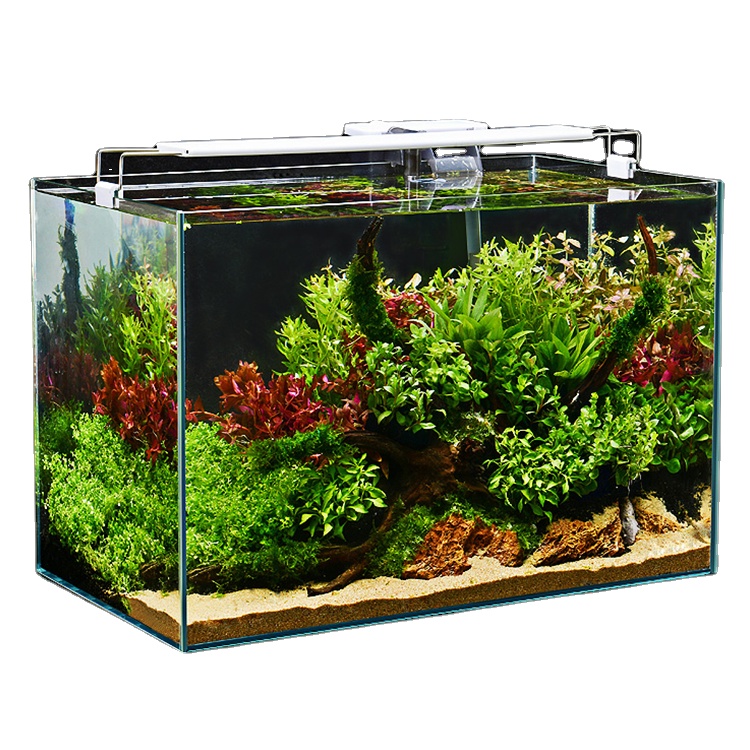 Factory Wholesale bedroom desktop small acrylic betta goldfish aquarium fish tank aquarium