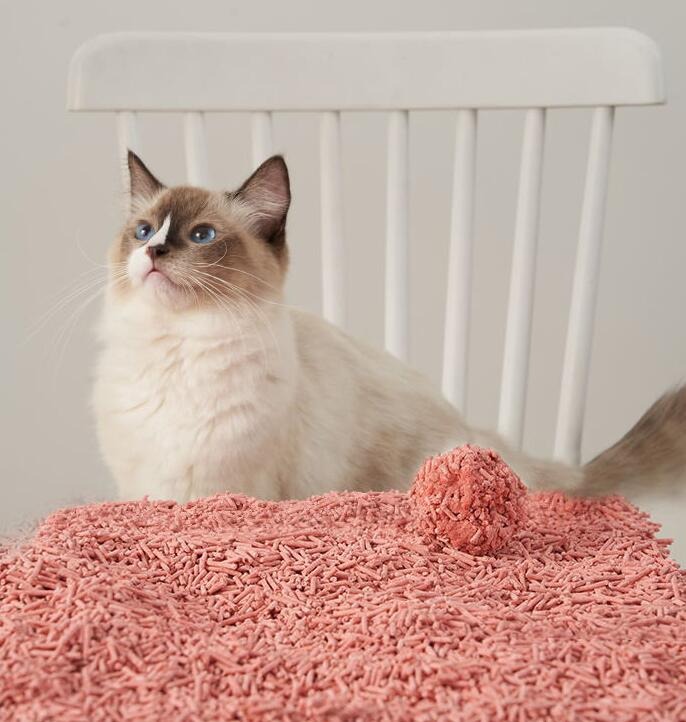 Factory Supplies Best Price Good quality Fast Dissolved Natural Tofu Cat Litter Sand With Good Foot Feeling