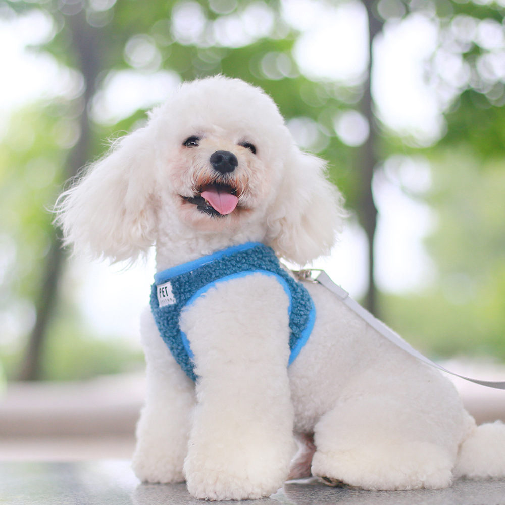 Dropshipping New Traction Rope Breathable Dog Pet Chest Harness Set