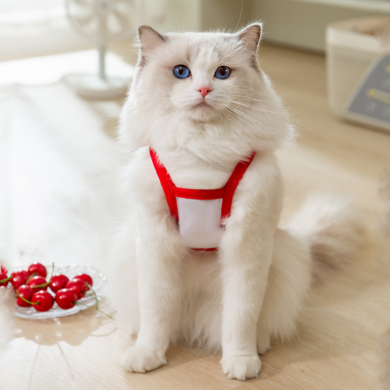 Towable pet clothes spring and summer cute fruit camisoles cat two-legged puppy dog cat clothing wholesale