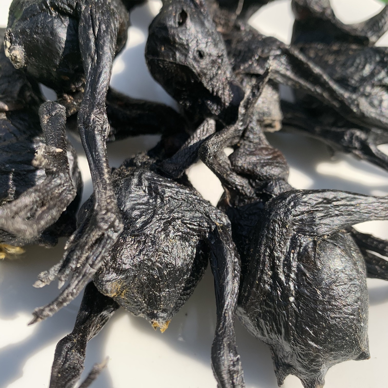 Freeze dried dog snack dog food Freeze dried black chicken Wholesale of freeze-dried pet snacks cat Treats