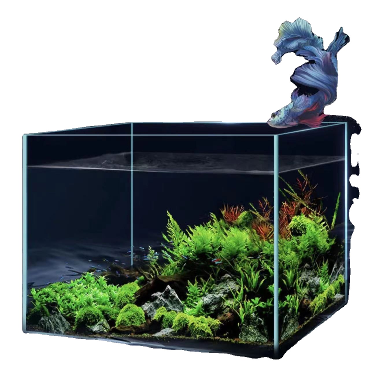 Factory Wholesale bedroom desktop small acrylic betta goldfish aquarium fish tank aquarium
