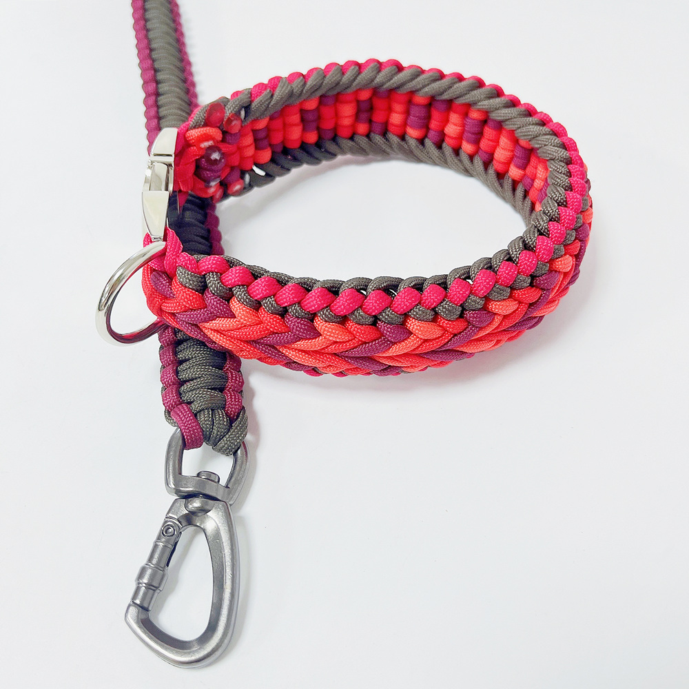 collar leash set new pet products 2022 innovative product correas para perros metal buckle chien swivel carabiner for dog leash
