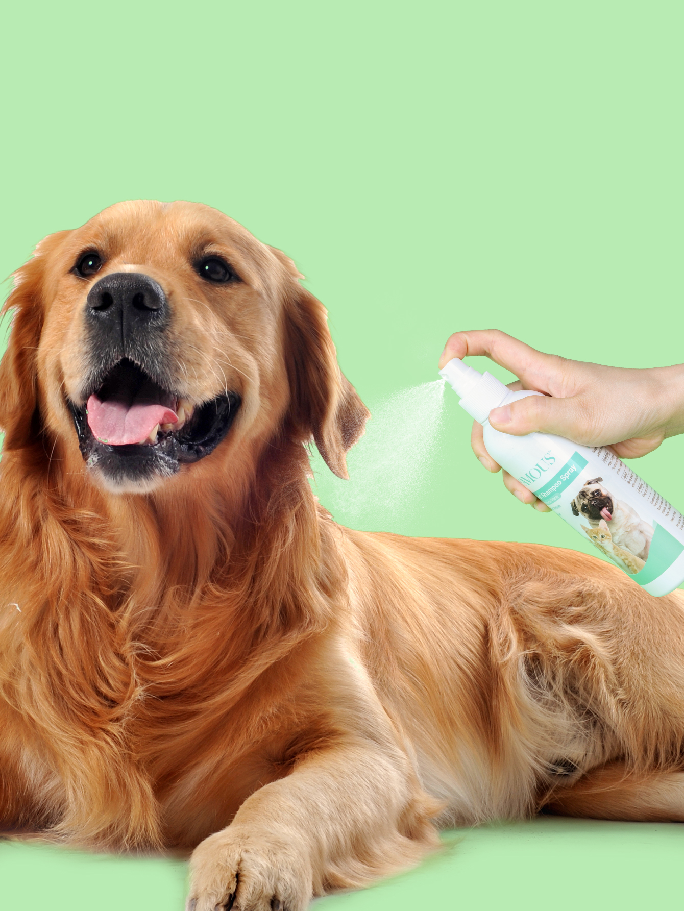 Dog cat small animal shampoo factory Label waterless hair mousse bubble shampoo dog pet dry shampoo foam for home use