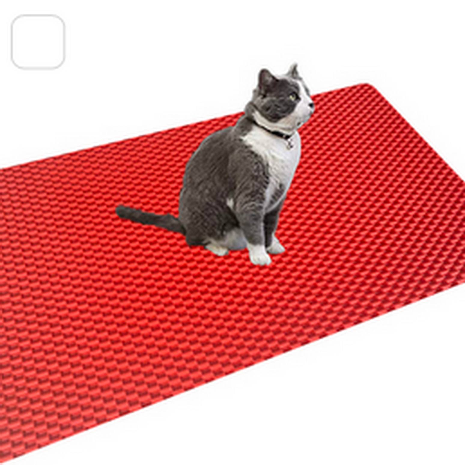 Waterproof Trapper Foldable Pad Pet Rug Home Urine single-Layer Cat Litter Mat