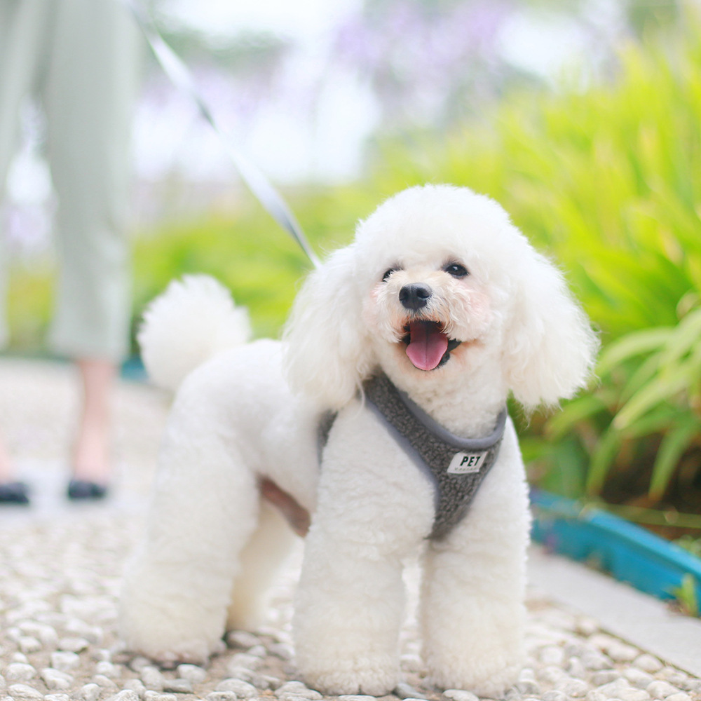 Dropshipping New Traction Rope Breathable Dog Pet Chest Harness Set