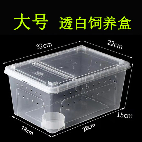 27*19*12cm transparent/black reptile pet carriers plastic reptile cage terrarium for reptiles