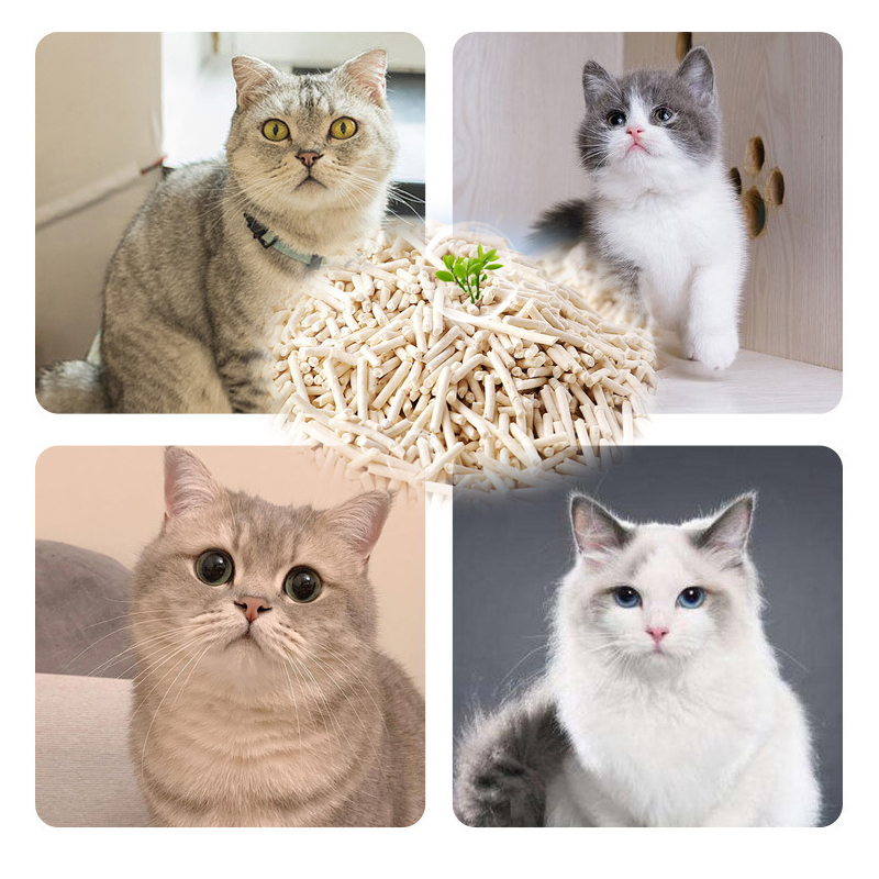 Buy wholesale price small animal liter bentonite pet litter cleaning sand 10 litter tofu cat litter