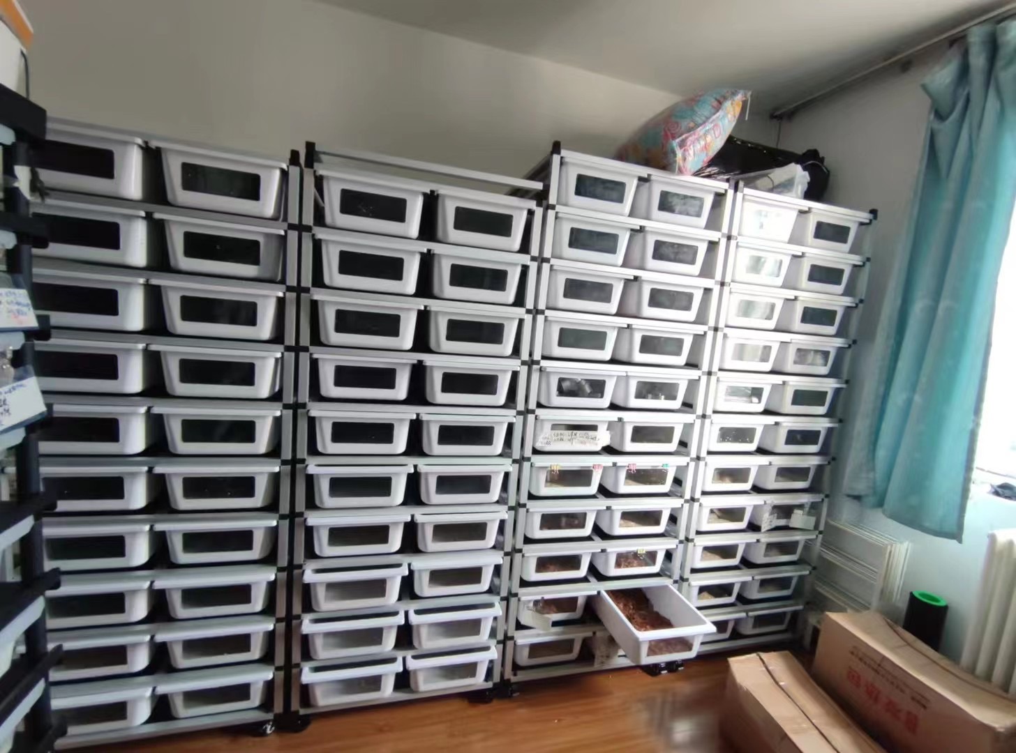 Reptile Snake Rack Snake Breeding Rack Reptile Hatchling Rack Shelf for Pet Cages