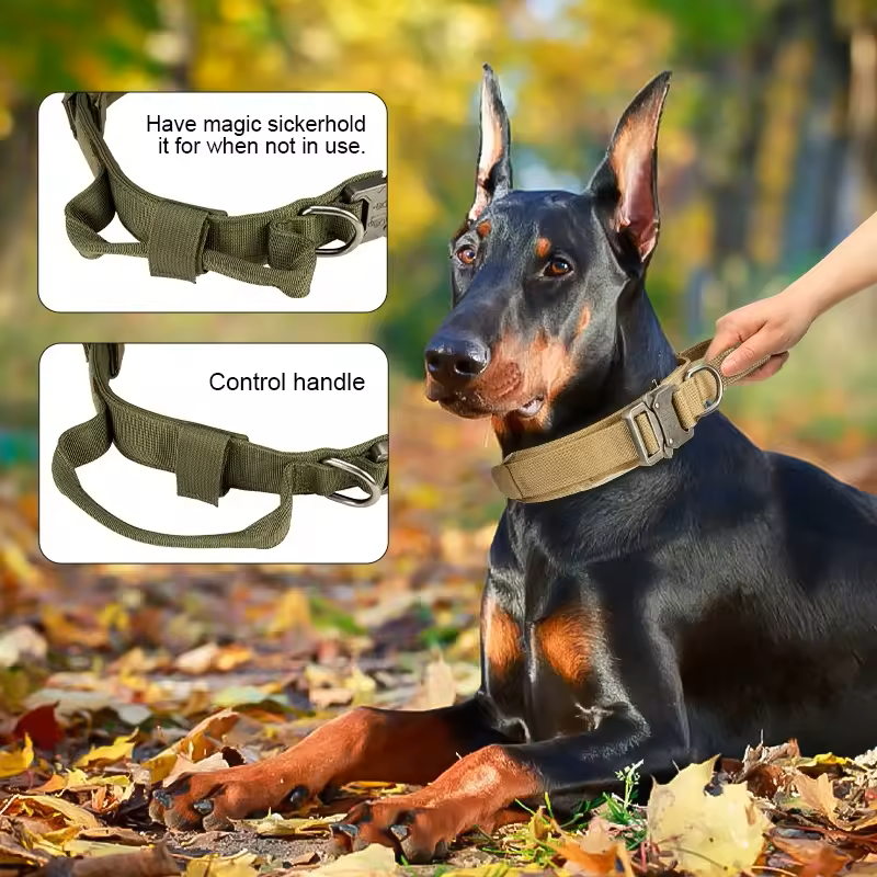 Factory High Quality Heavy Duty Metal Buckle Pet Dog Training Collar Large Dogs Collar And Leash Set Tactical Dog Collar