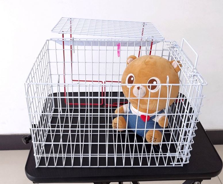 Low price high quality outdoor portable pet Carrier with quail Animal cage Carry your pet to hospital portable cage