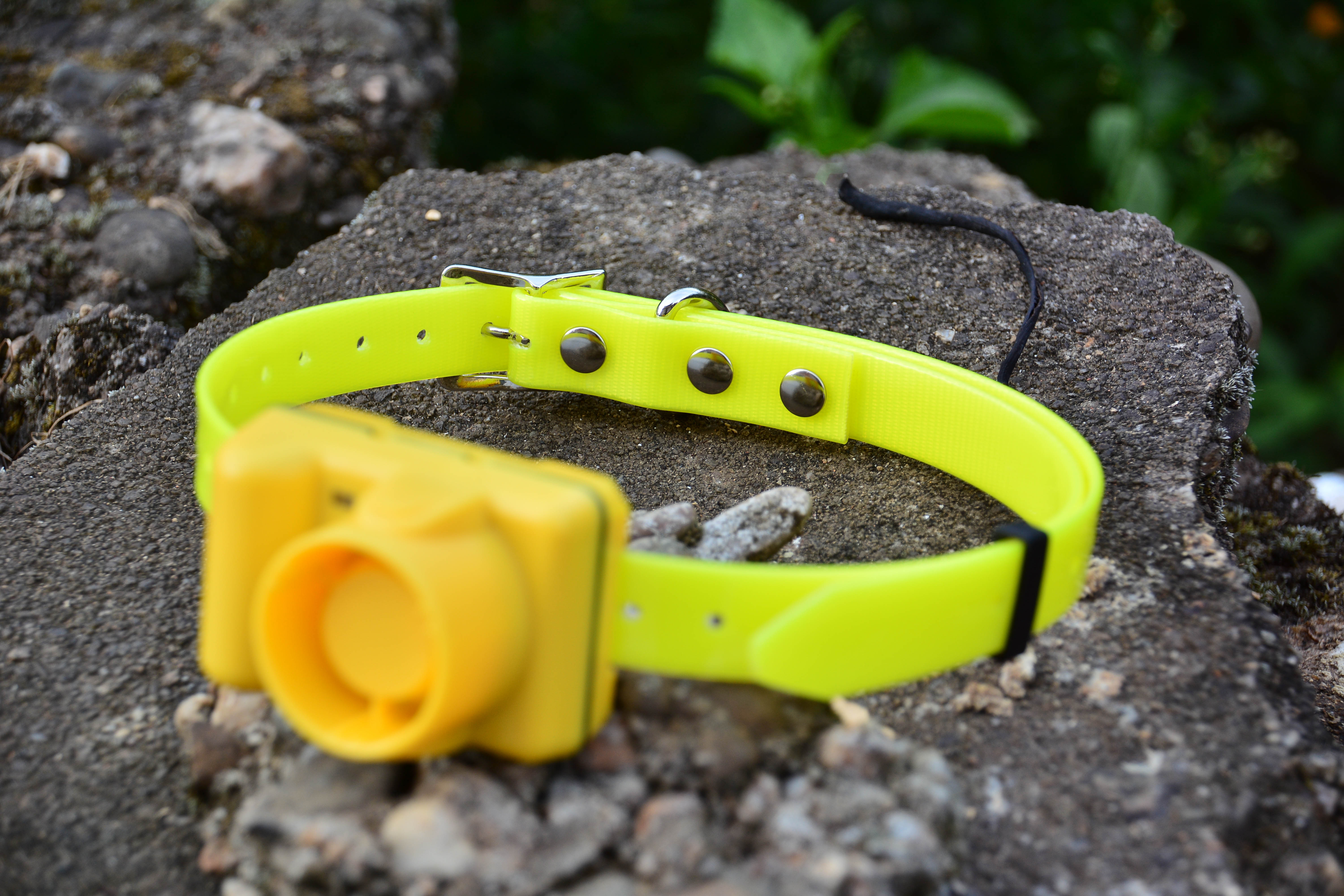 Plastic dog remote control dog training collar pet supplies manufacturer dog beeper hunter