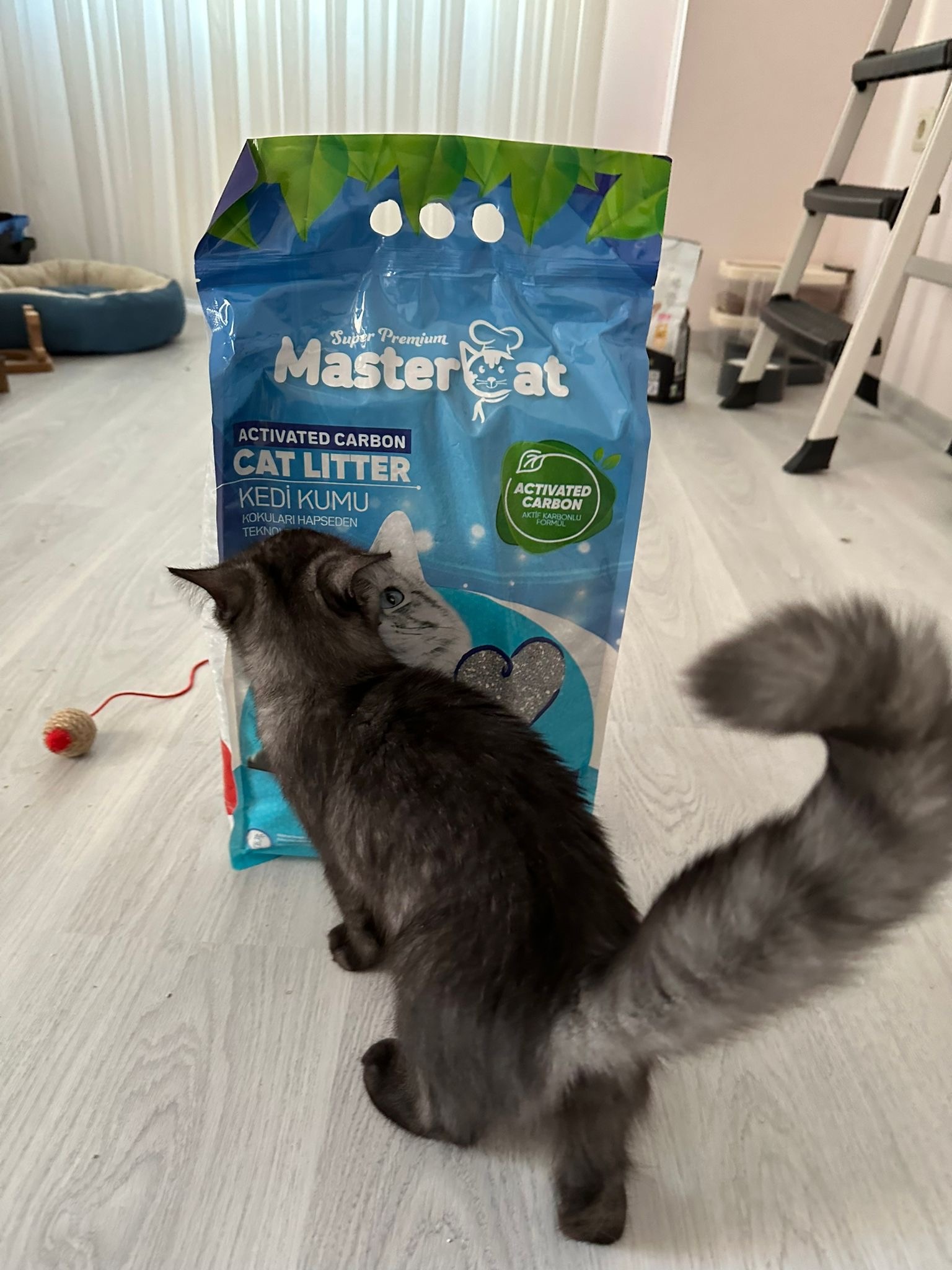 High Quality MasterCat Sand Marseille 10L Fast Clumping Scented Bentonite Cat Litter Flushable Natural Soup Ball Pattern