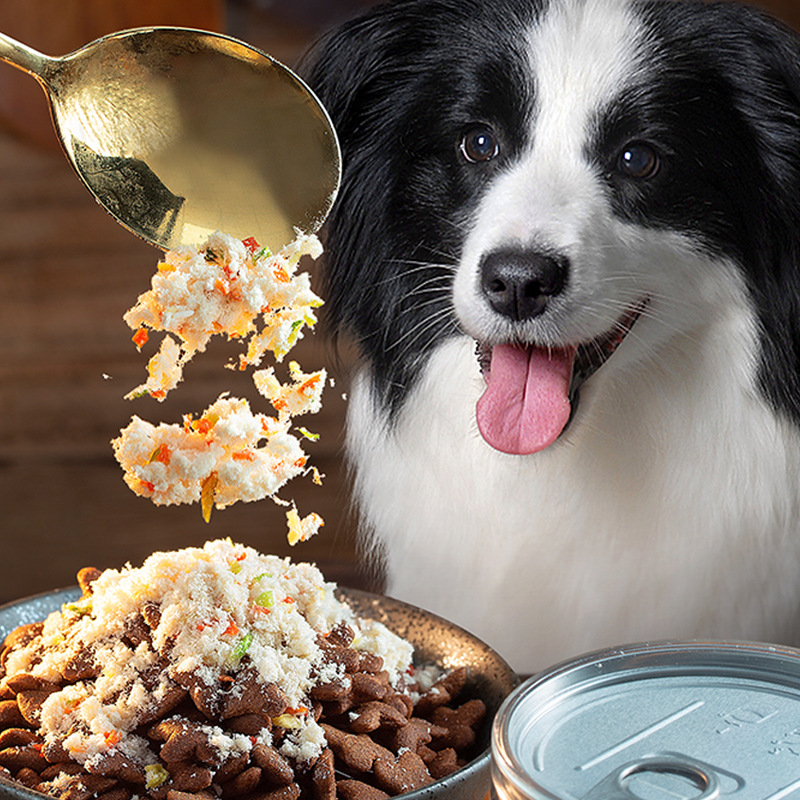 The latest healthy and delicious cat food for pets