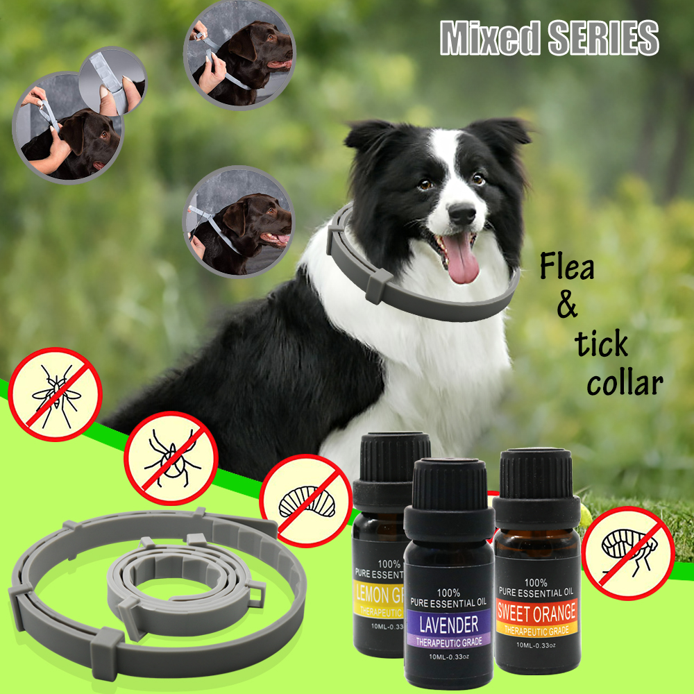 Dog calming collar Factory OEM service
