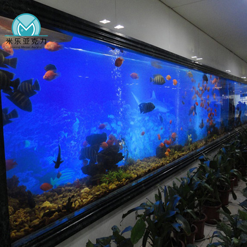 Ultra clear modern glass new view acrylic high quality marine fish tank for home decoration
