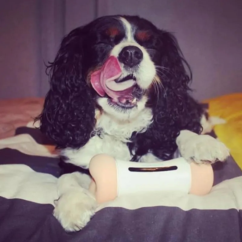 World's first new smart pet toy for smart dog toy girl and boy as dog chew bone