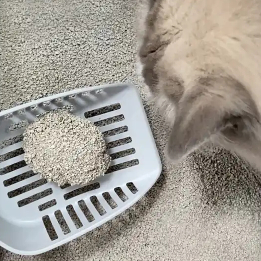 Customized Dust Free Cat Sand Biodegradable Broken Sand Cats Size Large Broken Cat Sand Scoop For Toilet Poop Cleaning