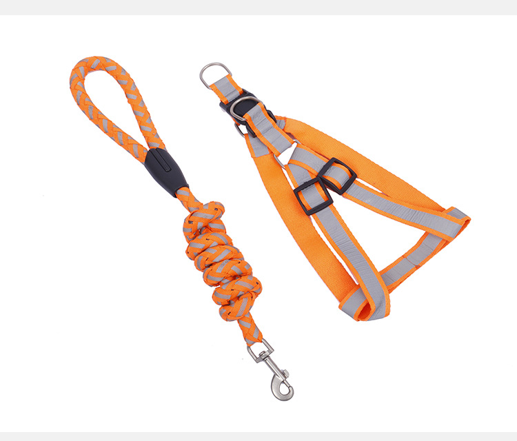 Dog Leash Harness Adjustable & Durable Nylon Braided Leash Set for Small/Medium Dog-2 Pack