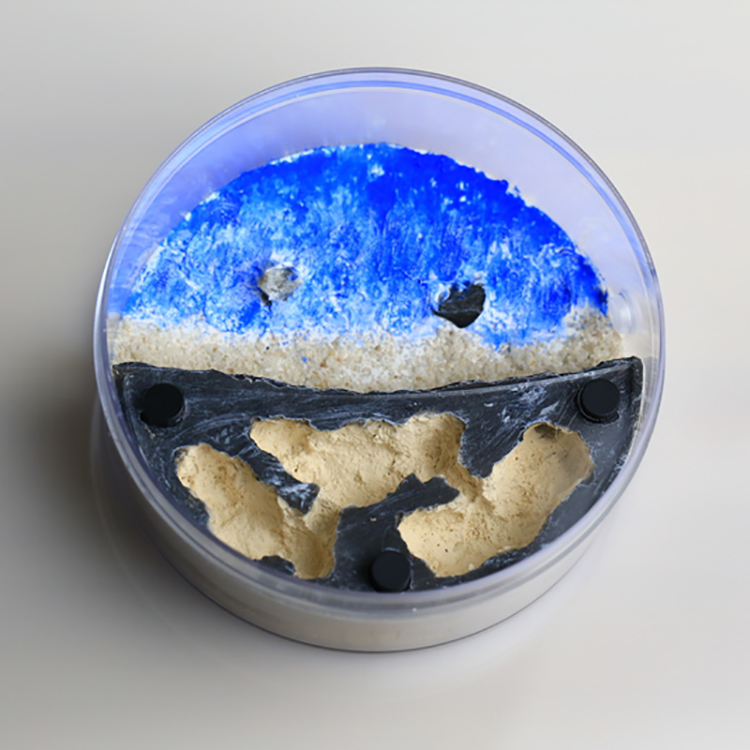 Ant Formicarium Beach Scene Ant Nest Farm Room Decor