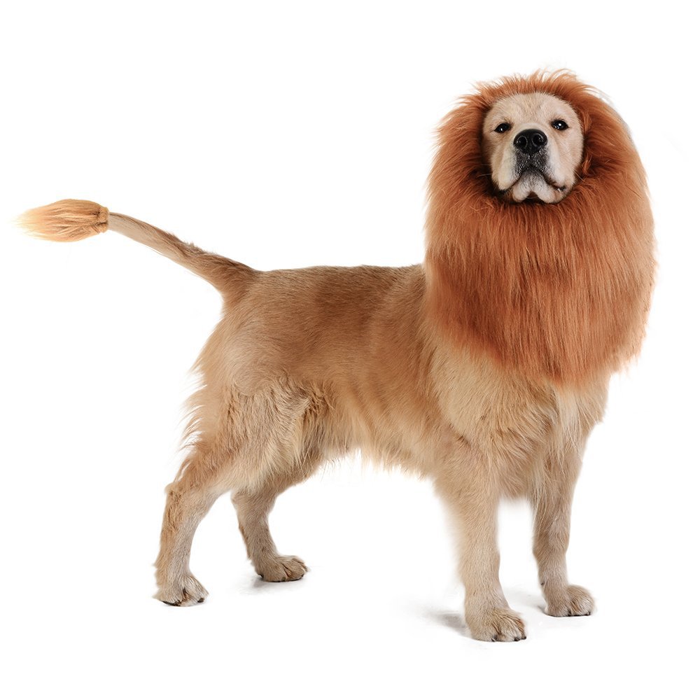 Pet Costumes Realistic Funny Lion Mane for Dogs Lion Wig for Medium to Large Sized Dogs