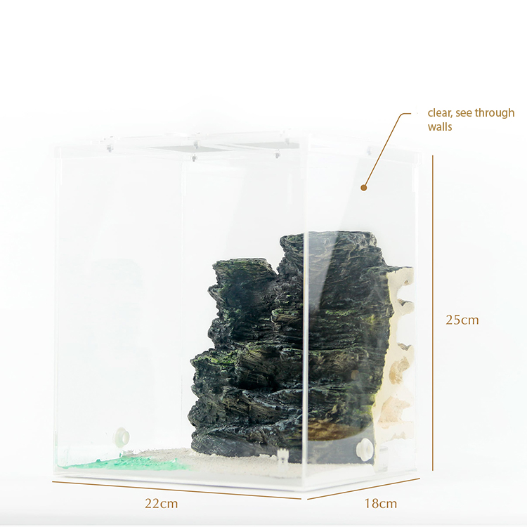 Taiwan Clear Ant Formicarium Plaster Acrylic Box