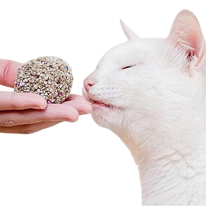 Wholesale of high-quality pet products in bulk, mixed with swollen potato and cat litter