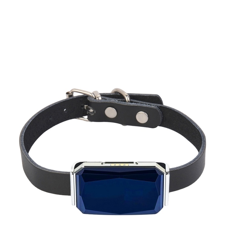 Factory Price G12 IP67 Waterproof Pet GPS Tracker Dog Locator, gps pet tracker