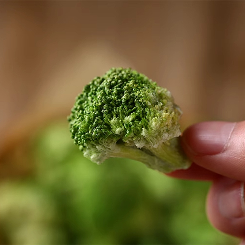 Wholesale freeze-dried dog treats Dog food Freeze dried broccoli Freeze-dried vegetables pet treats dog snacks