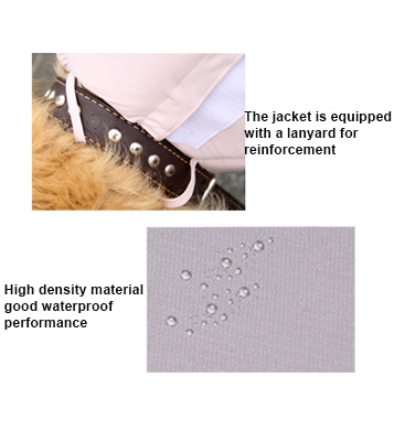 Adjustable Dog And Cat Neck Collar Prevent Licking And Protect Wounds