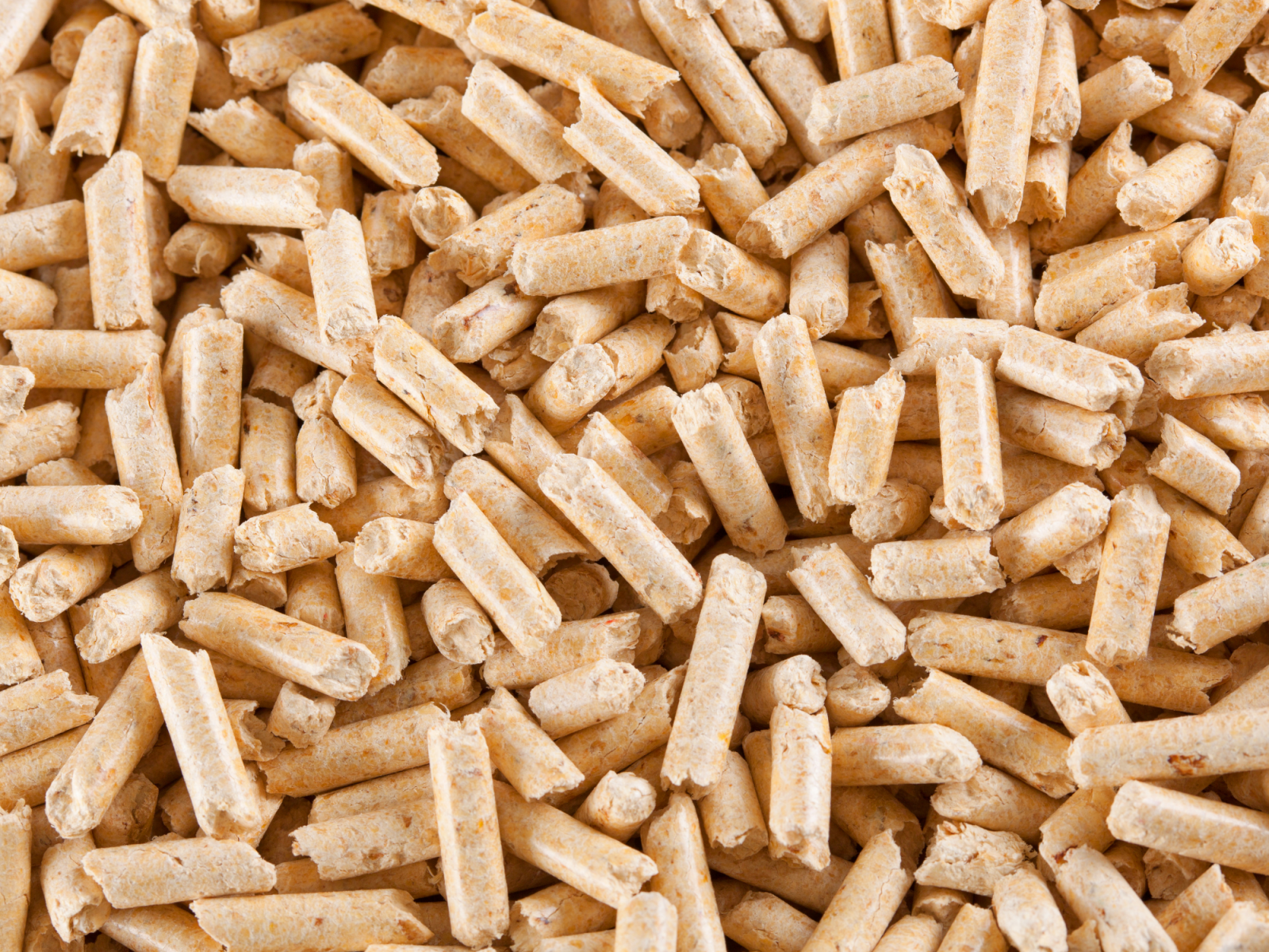 Manufacturer Wholesale natural plant clean up wood pet cat litter dustless pine wood pellets cat litter Akina