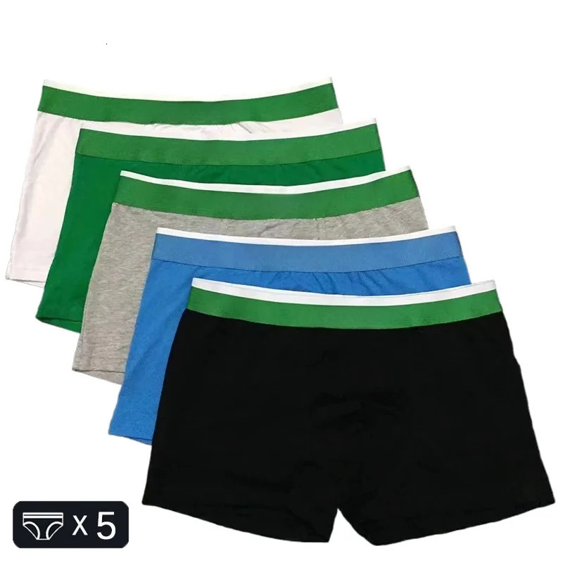 5 pieces/batch Fashion Green Belt Mens Boxing Shorts Solid Color Mens Underwear Breathable Cotton Mens 3D Bag Boxing 241126