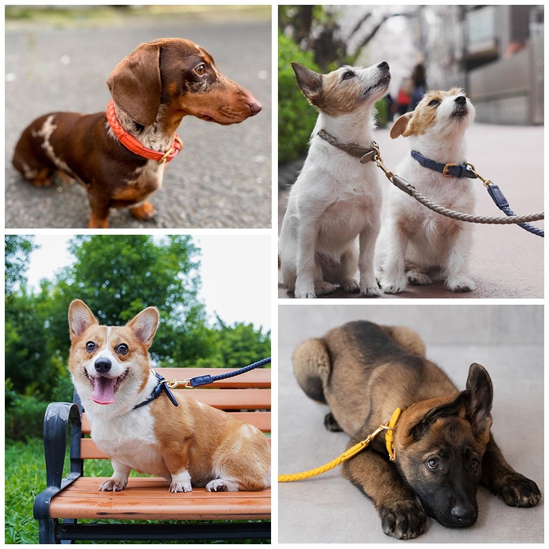 Manufacturer Pet Dog Collar Leash set Luxury Braided Leather Dog Leash Set Leather Woven Collar Leash For Dogs