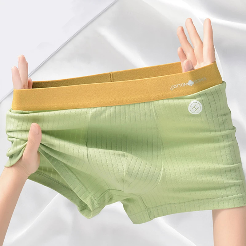 12 pieces of mens underwear mens boxer underwear mens underwear breathable mens boxing shorts comfortable striped underwear 241126