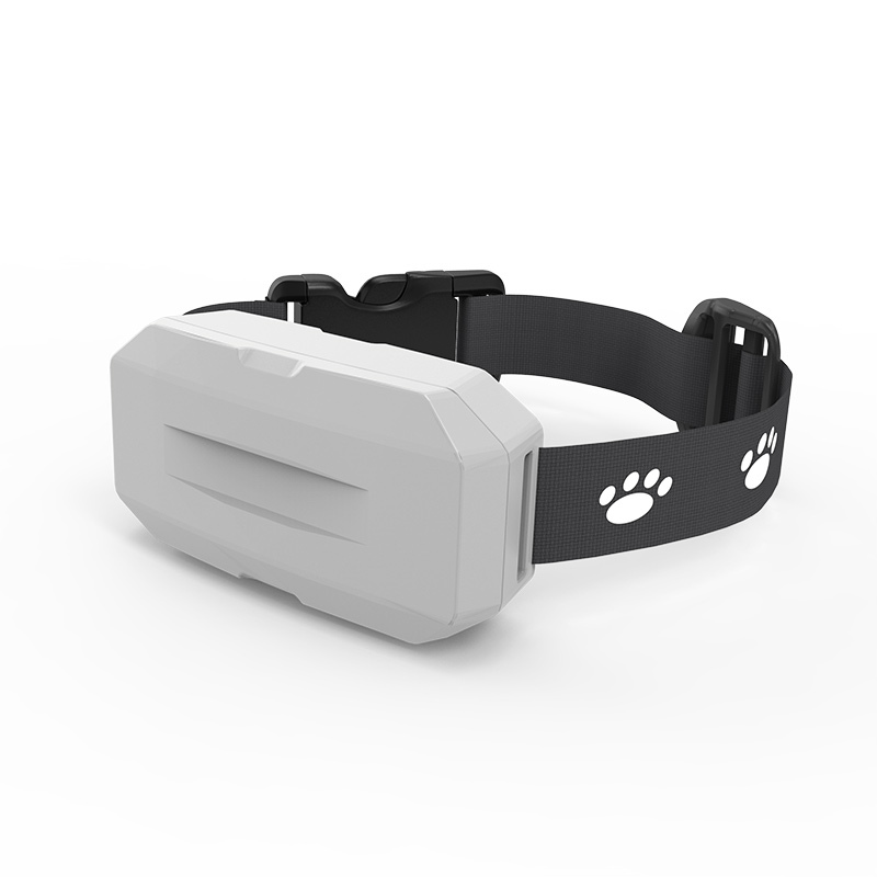 Accurate Real Time Location Trackers Dog Cat GPS For Pets