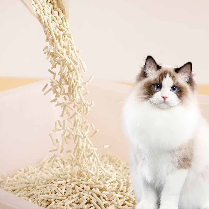 Good quality absorbent fragrance tofu litter small cat for healthy type