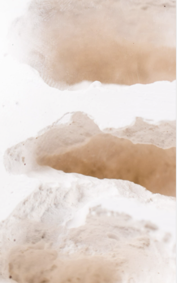 Ant Farm Ant Cave Home Gypsum Nest Table Decor Cavern