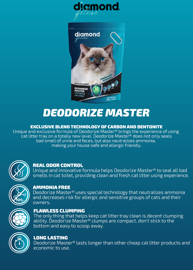 best selling products 2024 bentonite cat litter sand pet supplies
