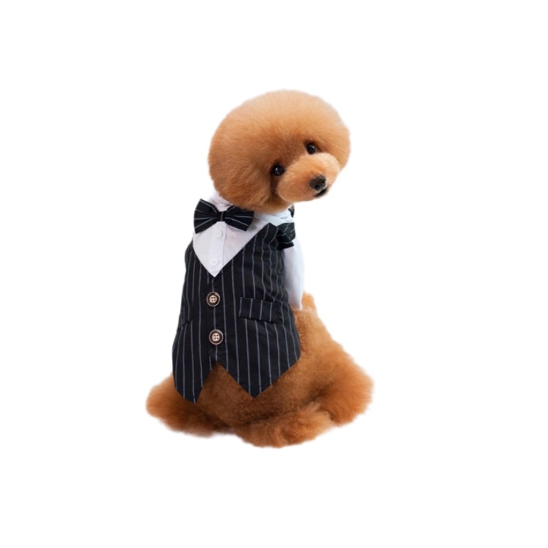 New Type Halloween Skull Black Pet Clothes for Dog and Cat Fascinating Price Cotton XXL Size for Summer and Winter Parties