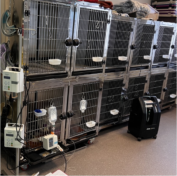 Heavy Duty Dog Kennel Stainless Steel Pet Modular Cages Crates for Large Dogs