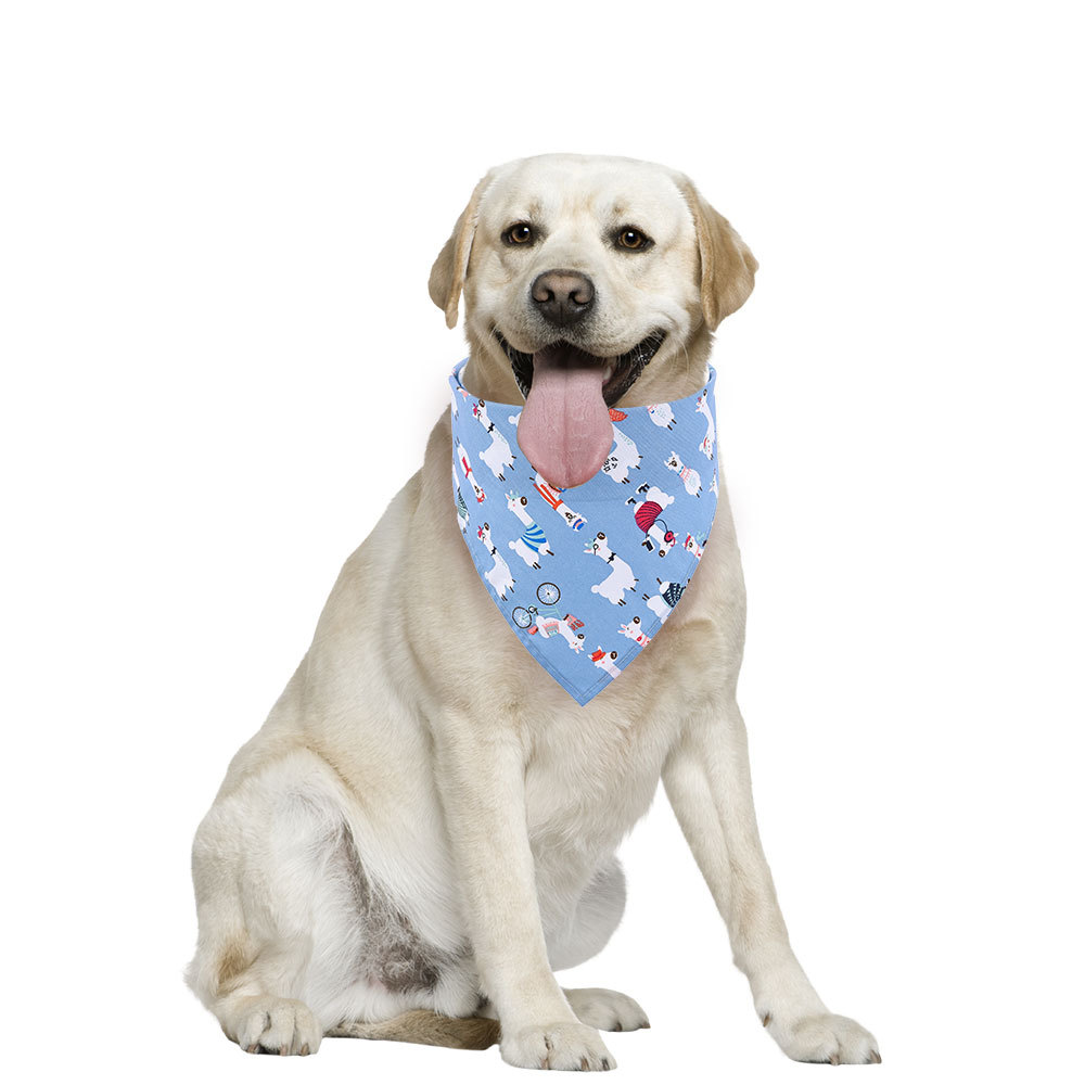 High quality multicolor fashion sublimation adjustable triangle dog pet bandana