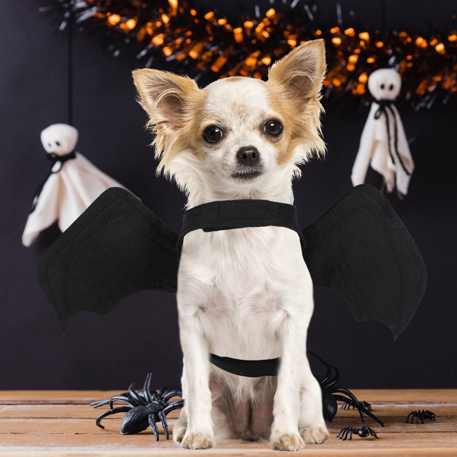 BWOGUE Bat Wings Costume Cat & Dog Pet Apparel Clothes for Halloween Party Large