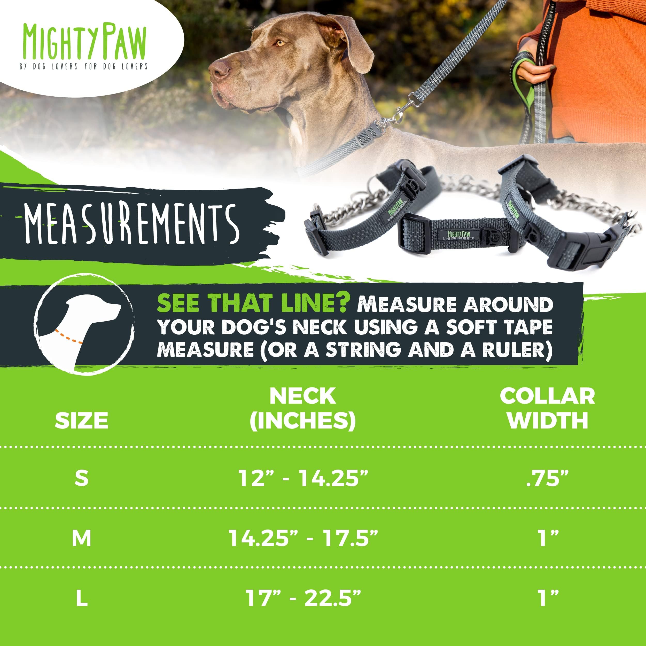Mighty Paw Martingale Dog 2.0 | Trainer Approved Limited Slip with Stainless Steel Chain Heavy Duty Buckle Modified Cinch Collar for Gentle & Effectiv