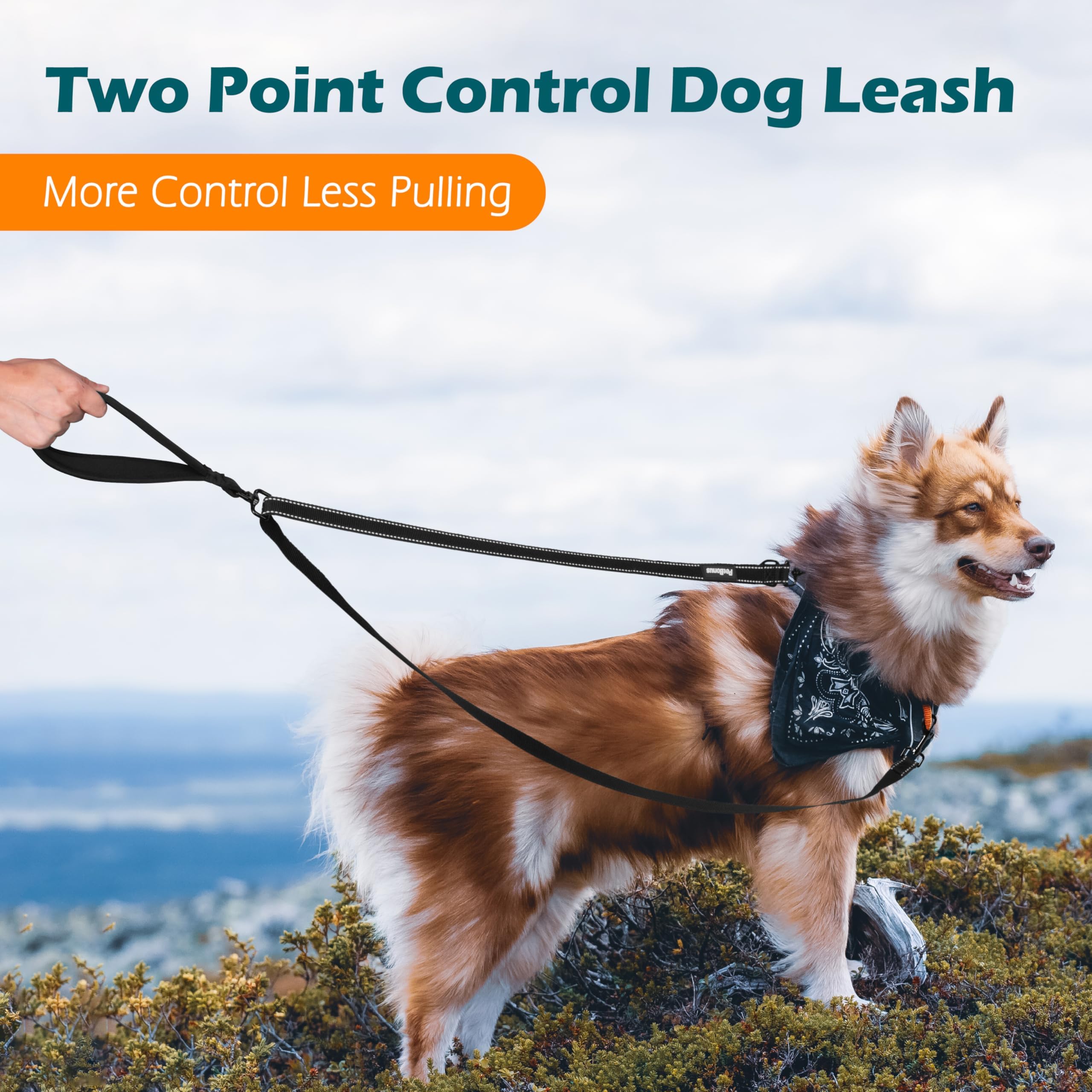 PetBonus Two Point Control Leash, Works with Harnesses, Tangle Dog Training Leashes, No Pull Padded and Reflective Walking Lead, Converts to Single Le