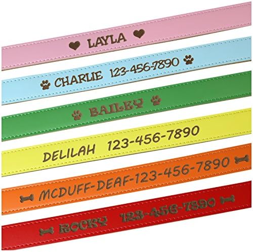 Custom Catch Personalized Dog Collar - Ened Soft Leather in XS, Small, Medium Large Size, ID Collar, No Pet Tags or Embroidered Names
