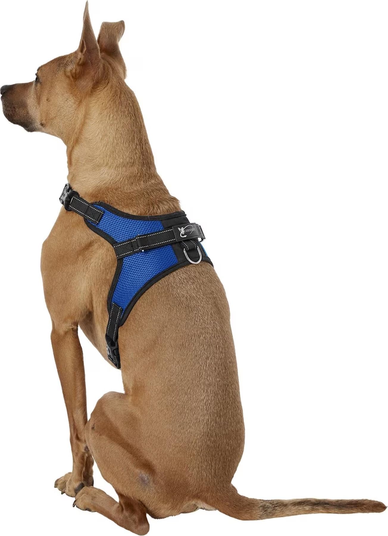 Copatchy No Pull Reflective Adjustable Dog with Handle- Comfortable Soft All Weather Mesh, Easy On Puppy Harness for Small Medium and Dogs