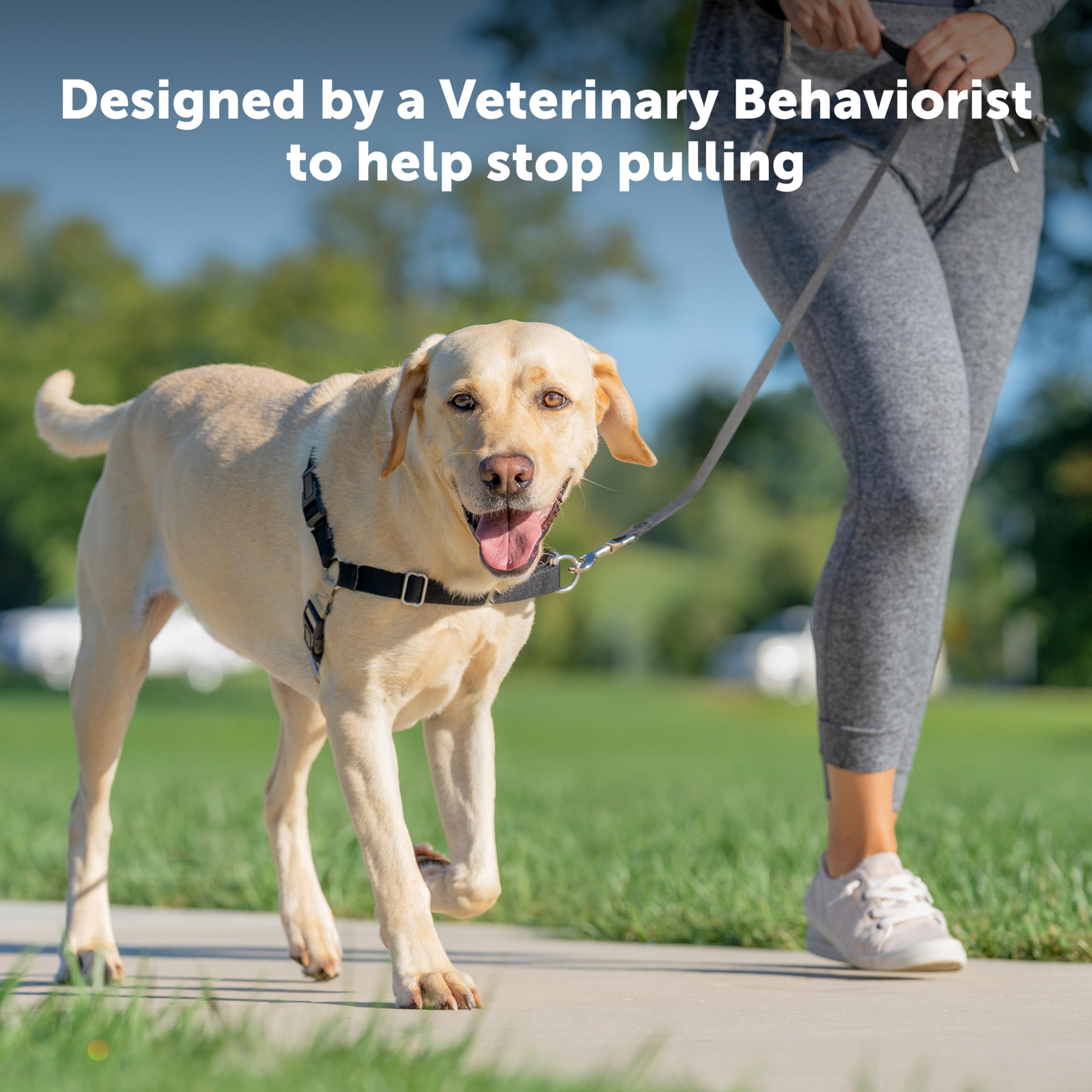PetSafe Easy Walk No-Pull Dog The Ultimate Harness to Help Stop Take Control & Teach Better Leash Manners - Helps Prevent Pets Pulling on Walks,,/Blac
